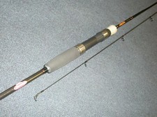 Berkley Fireflex 2pc Spinning