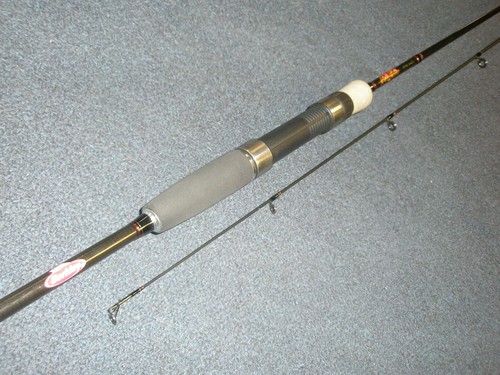 Berkley fireflex 2pc spinning - berkley,
