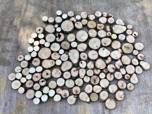 130 small log - /stick, slices