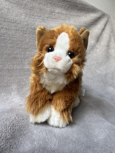 Animal alley ginger - animal, white