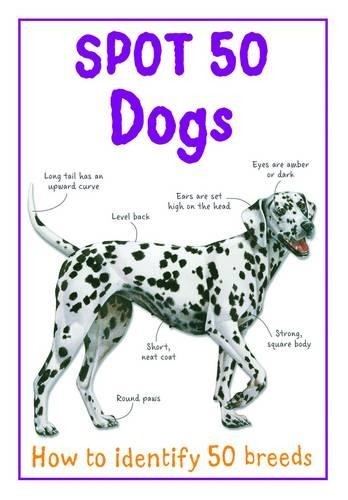 Spot dogs large - spot, 50