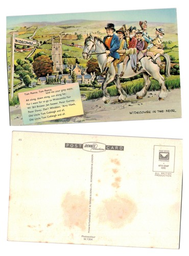 Vintage postcard widecombe - -,