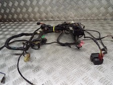 Kawasaki ZZR1100D ZZR1100 D