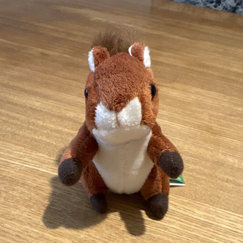Living nature mini squirrel - living,