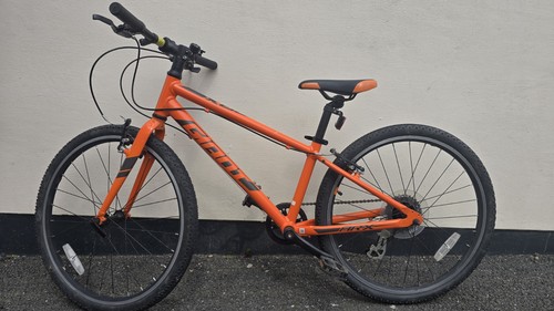 Giant arx kids bike with - giant,