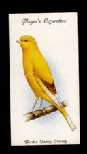 40382 / Players's Cigarettes -