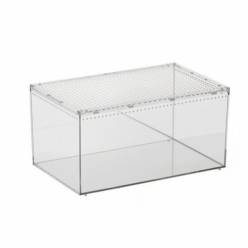 Acrylic terrarium compact - terrarium,