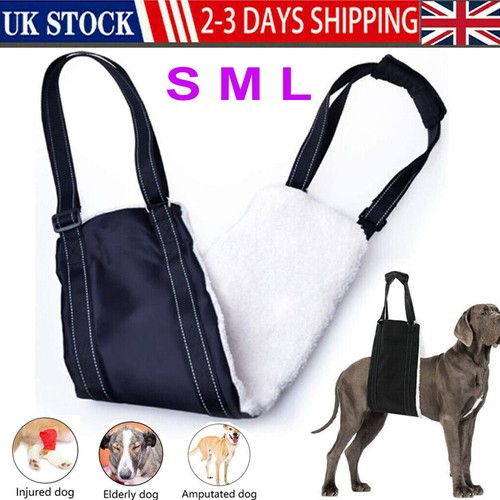Large dog mobility - dog, aids