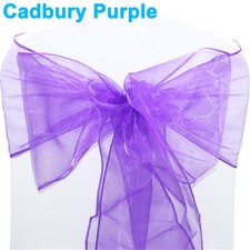 TtS 10-100pcs 22x280cm ORGANZA