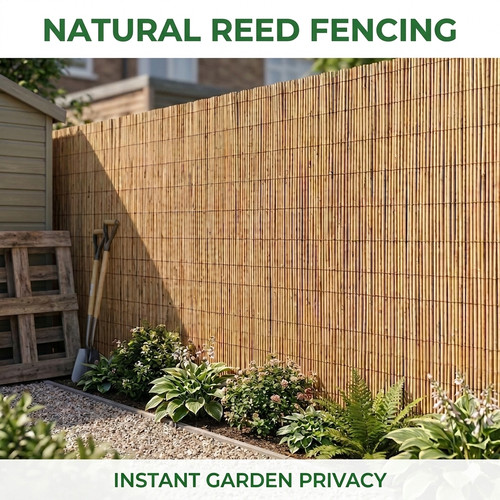 Natural bamboo reed fence - bamboo,