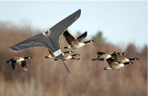 Goose decoy cabelas northern - goose,