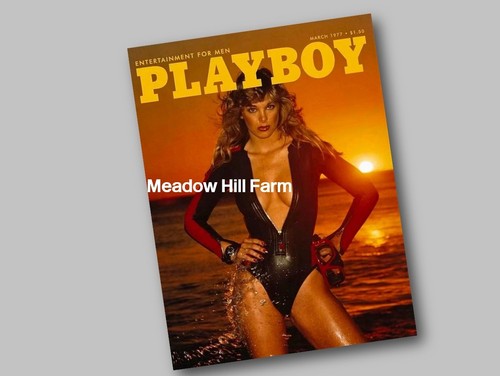 Fridge magnet playboy magazine - magnet,
