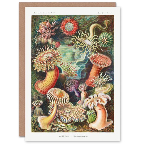 Ernst haeckel art - art, card