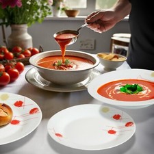 16PC DINNER SET BOWL PLATE MUG