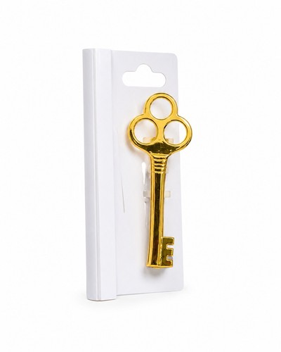 Gold key rings - key, &