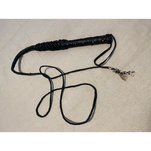 Indiana jones bull - indiana, whip