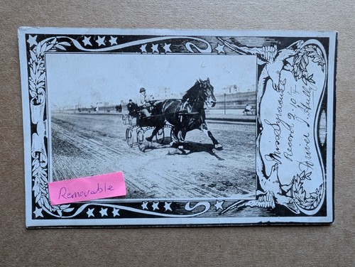 Old photo horse trap racing - photo,