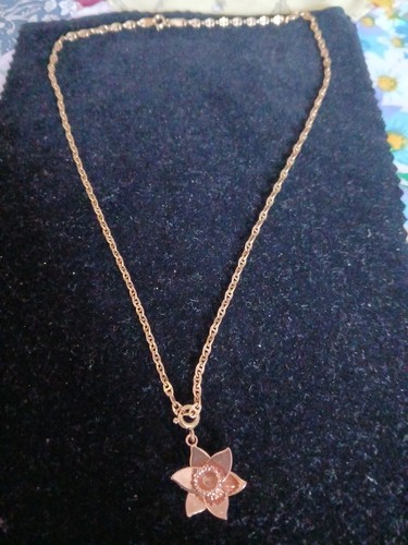 Clogau gold welsh - welsh, daffodil
