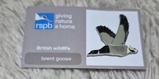 RSPB Bird Pin Badge - Brent