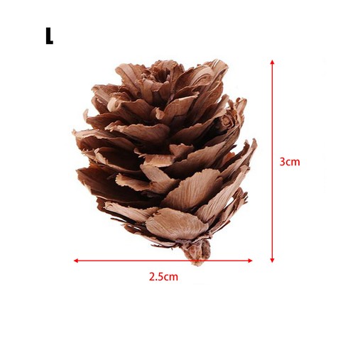 Mini christmas pine cones tiny - cones,