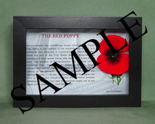 The Red Poppy - Framed