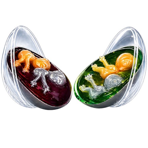 Twin baby alien egg cocoon - baby,