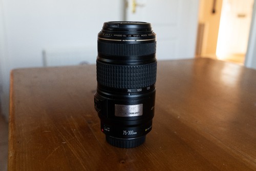 Canon 300mm 6 ef is - canon,