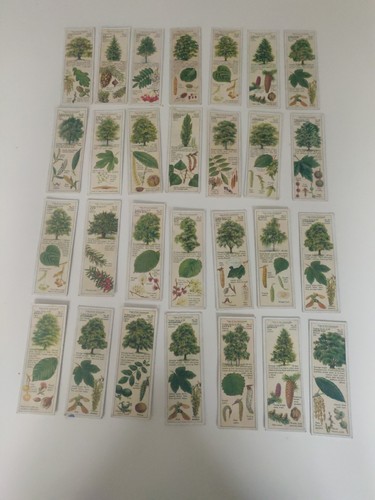 Vintage typhoon tea cards - vintage,