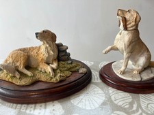 Sherratt simpson labrador - sherratt, &