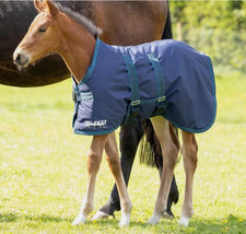 Shires Tempest Original 200G Foal Turnout Rug, 600Denier, Mediumweight