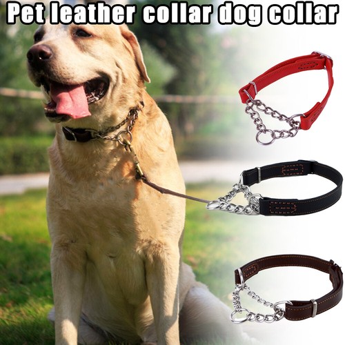 Pet dog half check - half,