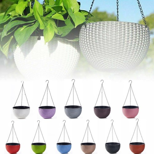 Hanging baskets flower - 2,