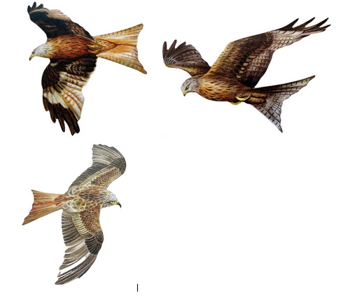 Red kite plaque set - kite,