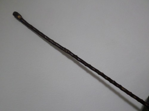 Blackthorn knob walking stick - ,