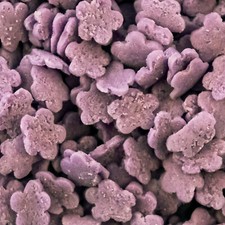 Purple Sprinkles Edible Cake