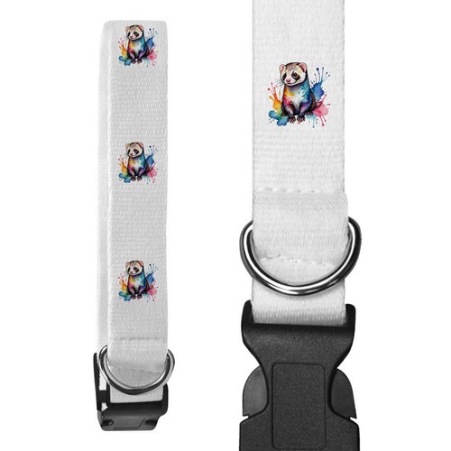 Colourful ferret dog collars - 'colourful, ferret'