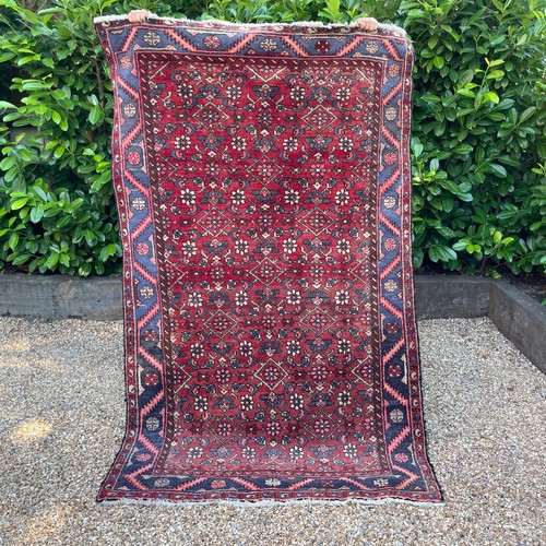 Oriental wool area rug - wool, floral