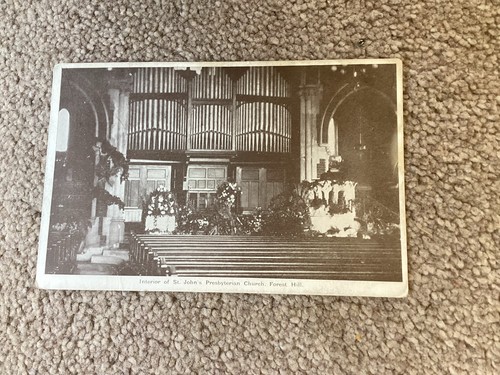 Vintage forest hill - forest, postcard