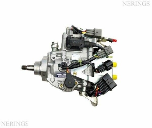 Fuel high pressure pump - pump, for