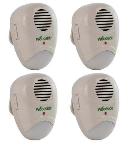 Plug mouse rat rodent - plug-in, mouse/rat/rodent