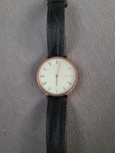 Skagen hald watch skw2674 - skagen,