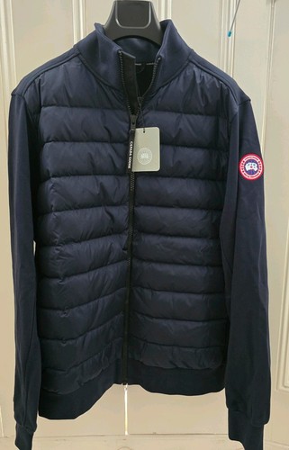 Canada goose hybridge huron - canada,