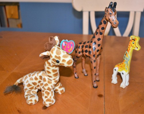 Trio nice giraffe - of,