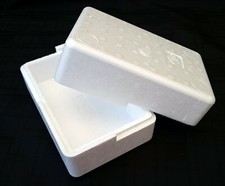 200x120x100mm POLYSTYRENE BOXES FISH REPTILES PERISHABLE GIFT MEDICAL PACKAGING