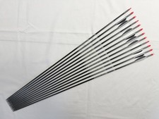 12 x Easton Axis Archery