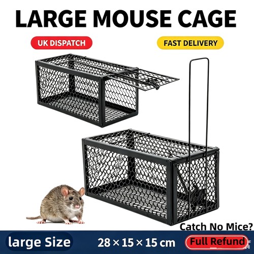 Rat trap mouse catcher - rat,