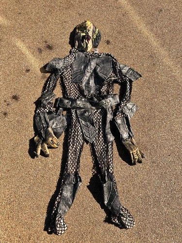 Alien predator cosplay - alien, full