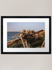 The Old Rope Framed Art Print