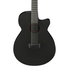 Ibanez AEG1221-BOT 12-String
