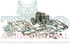 David Brown 1394 1490 1494 1410 1412 Tractor Engine Rebuild Kit